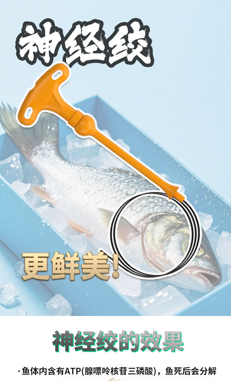 80cm Titanium Wire for Fish Bleeding & Preservation – Suitable for Sea, Rock, Boat, and Lure Fishing