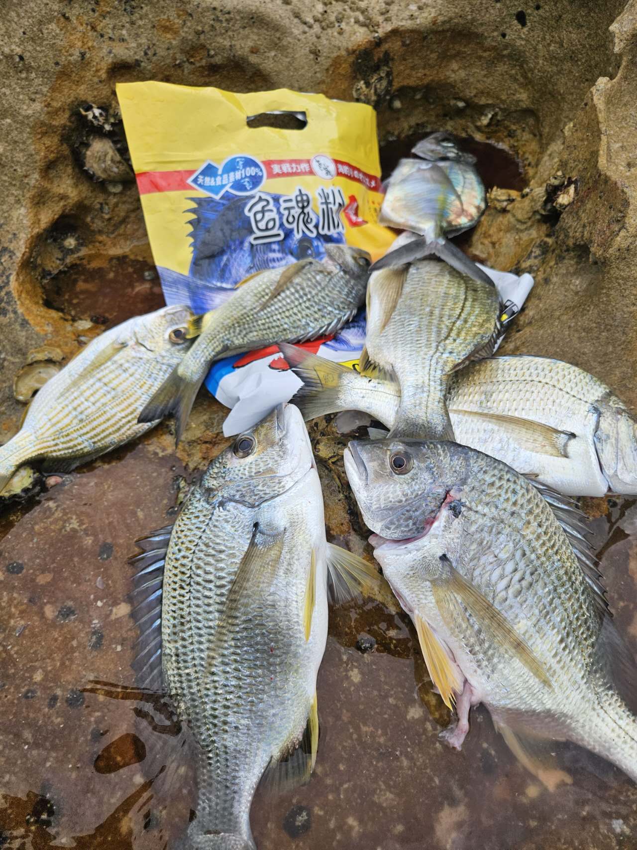 YUHUN Powder Burley/1.8kg/bag
