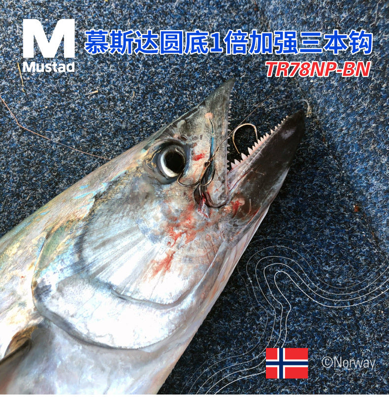 Mustad-Triangle hook for fishing