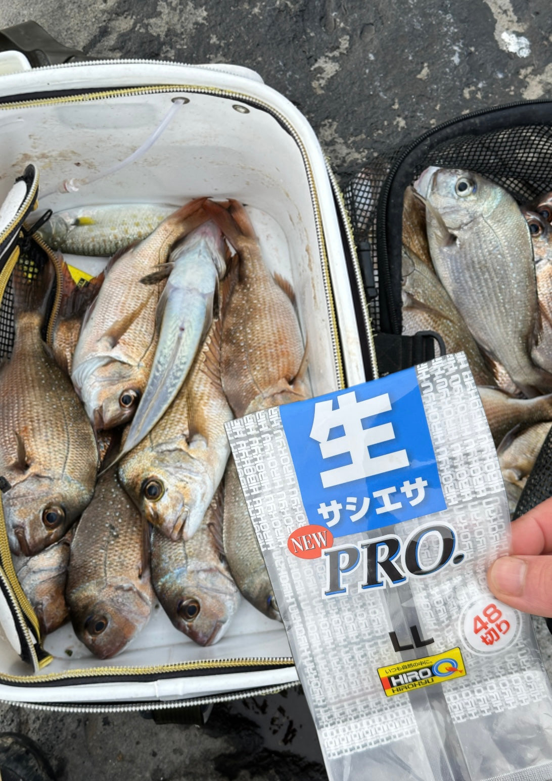 （IN-STORE ONLY)HIROKYU KRILL PRO(RAW) 南极虾