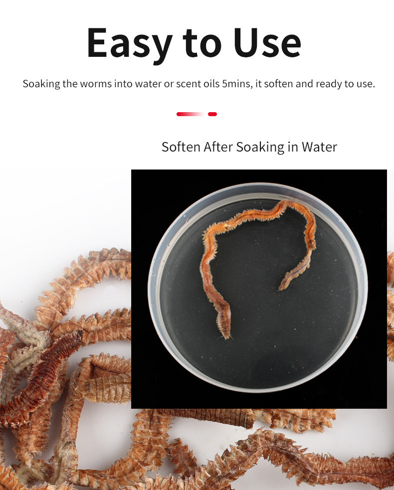Dry- sandworms – Lohas Fishing