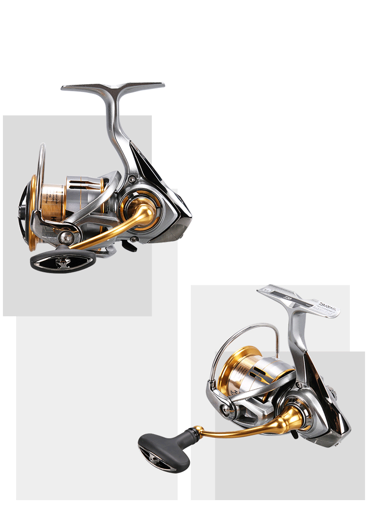 DAIWA-21 FREAMS